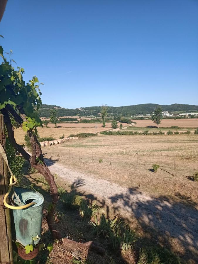 Vila Agriturismo Podere La Selva Serre Di Rapolano Exteriér fotografie
