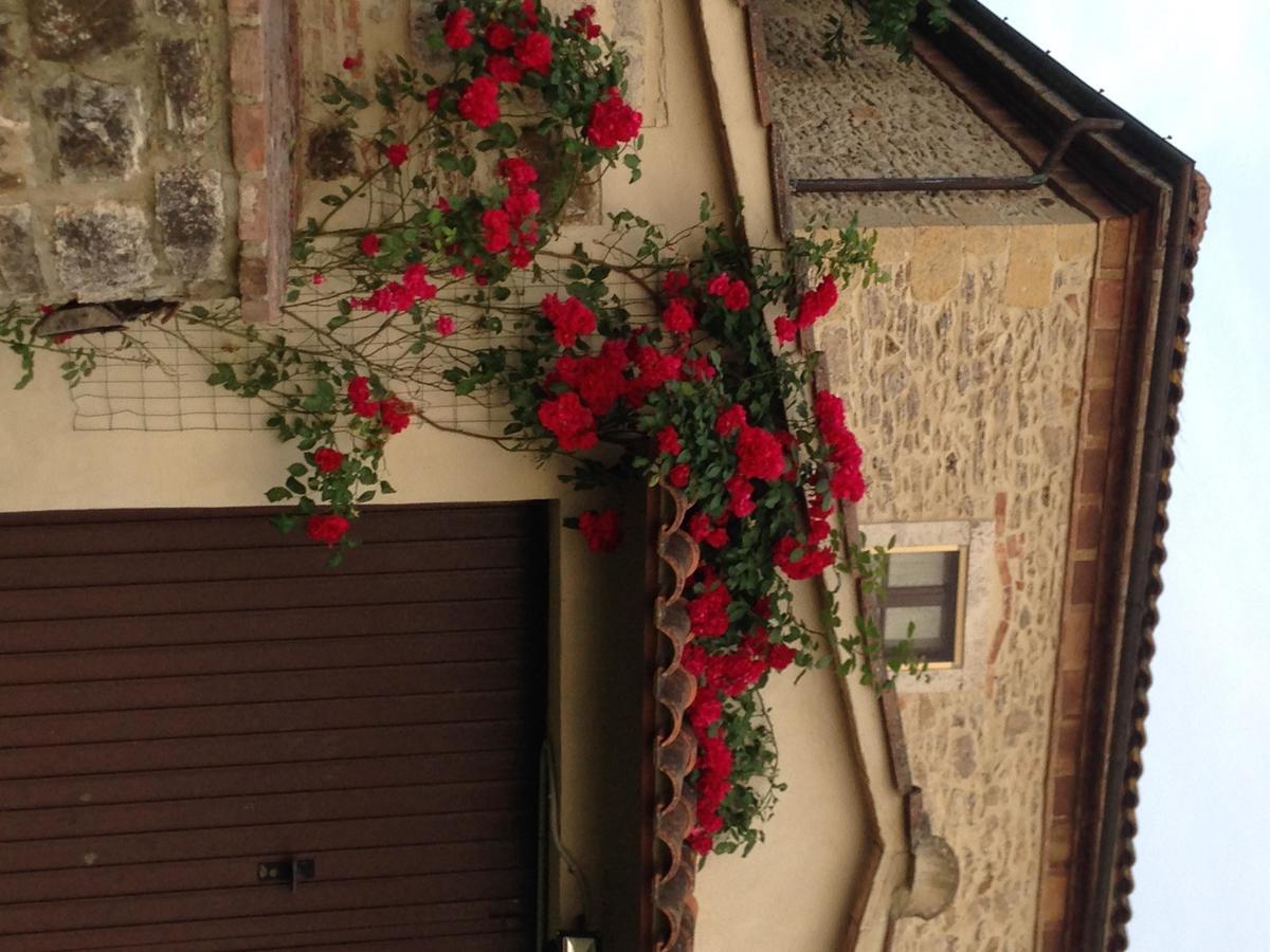 Vila Agriturismo Podere La Selva Serre Di Rapolano Exteriér fotografie